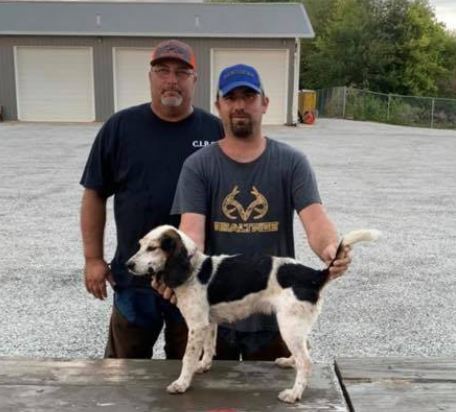 Wiley's Pretty Gurl Purl