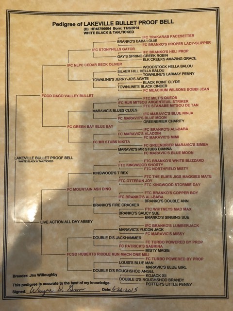 Lakeville's Bullet Proof Bell Pedigree
