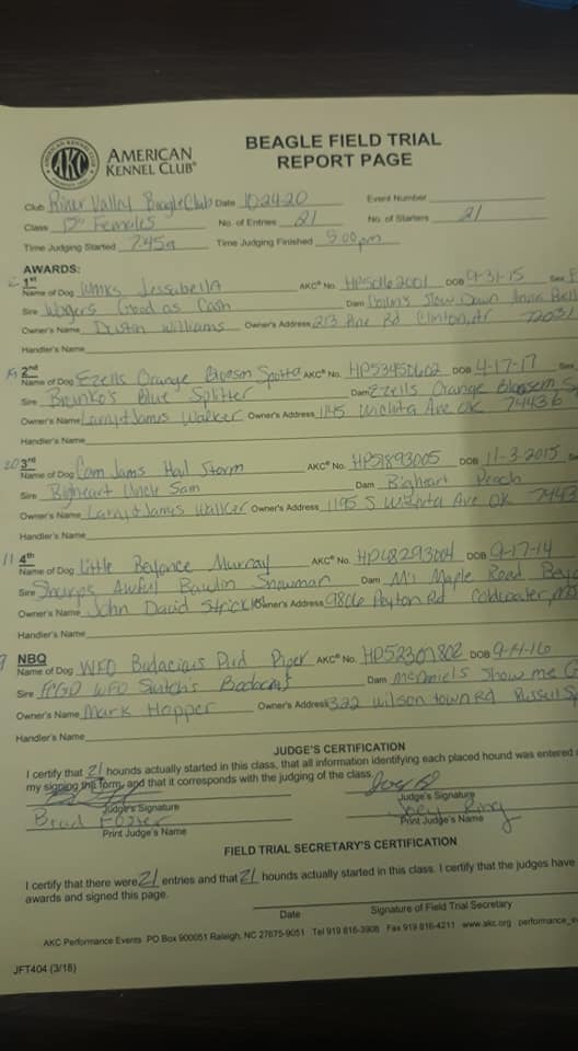 15infemalespaperwork