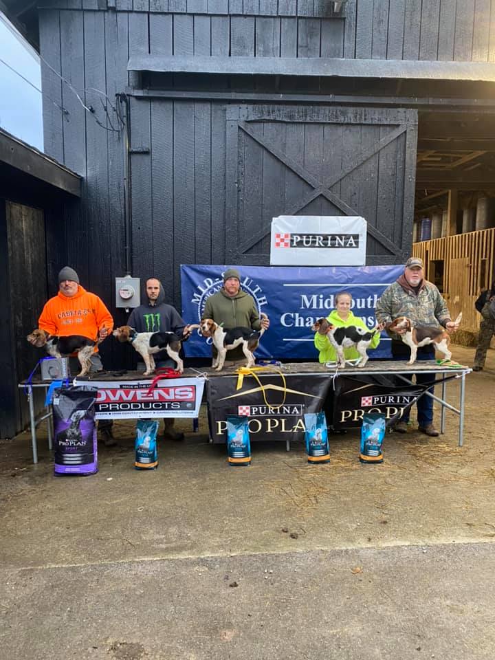 15inch females bench