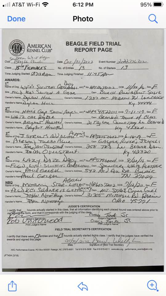 15infemalespaperwork